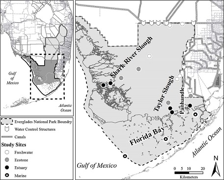 Map of the study area with monitoring locations and ecosystems identified from stations within the Florida Coastal Everglades Long Term Ecological Research network in Everglades National Park